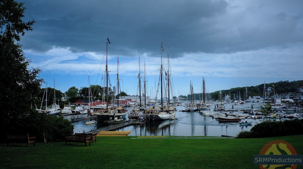 Stunning display of vintage ships