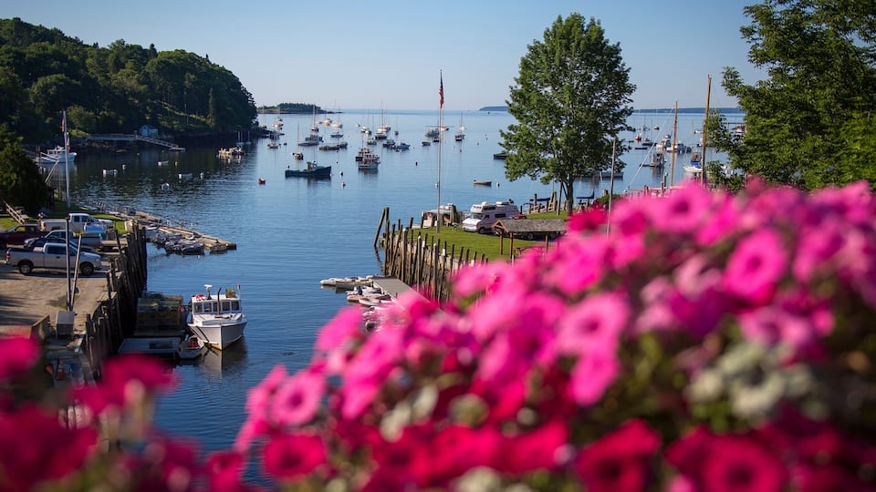 A marina with boats, a dock, and a forested hill in the background.
