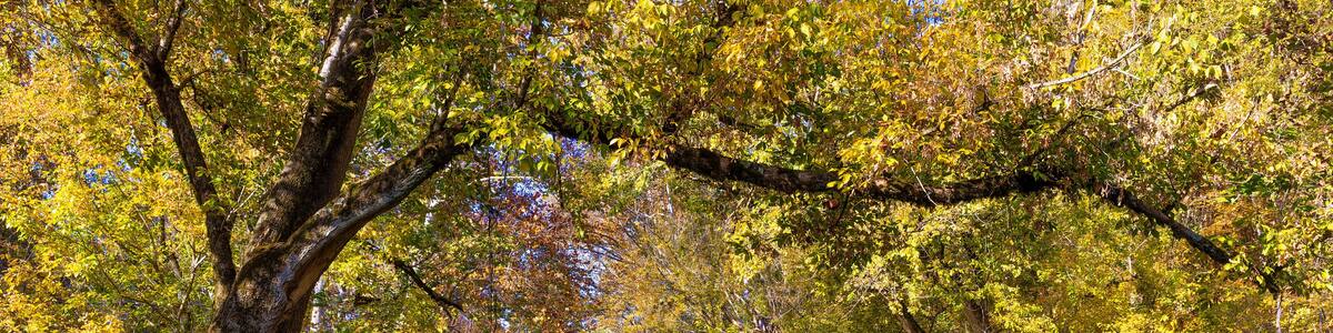 Historical Amis Mill in Rogersville, Tennessee, USA