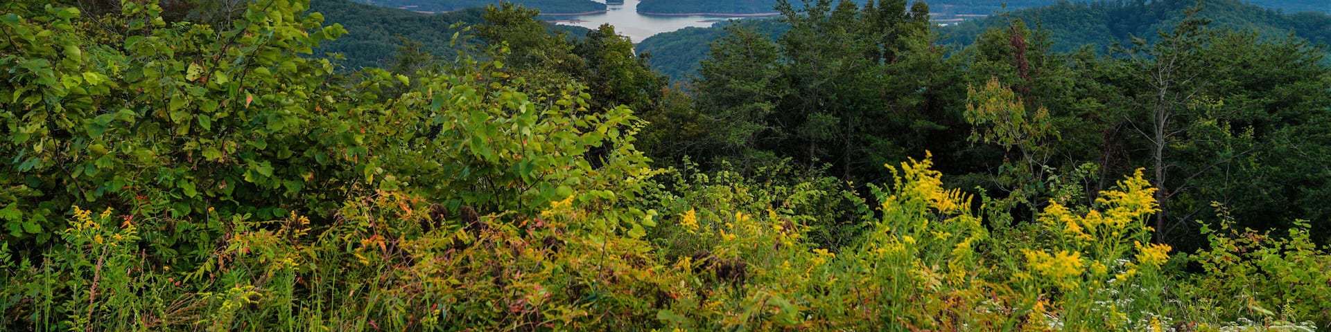 Sunset Over Cherokee Lake and Appalachian Mountains from Veterans Overlook, Tennessee