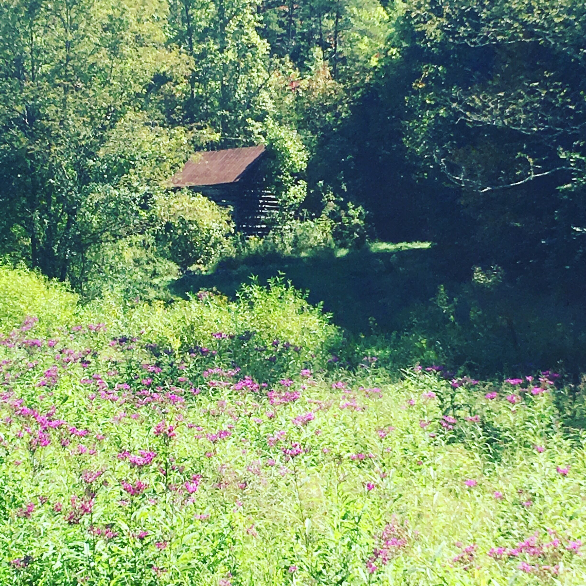 I love to get lost and find some amazing thing.