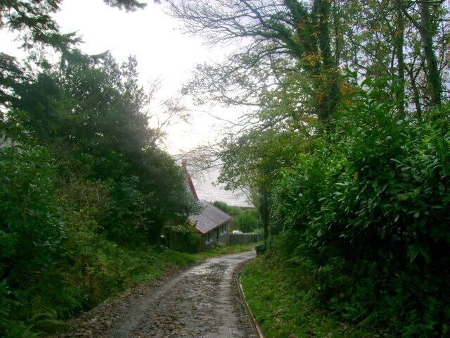 Down the lane to the loch Looking down a narrow lane from below two secluded cottages towards Loch Long. Fallen leaves make the steep lane slippery so it must be treacherous in snow.