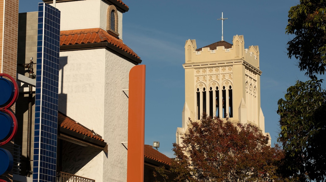 サン リアンドロ