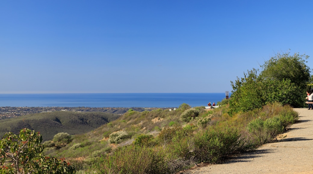 Scenic Mountain View from Double Peak Park, San Diego, San Marcos, California