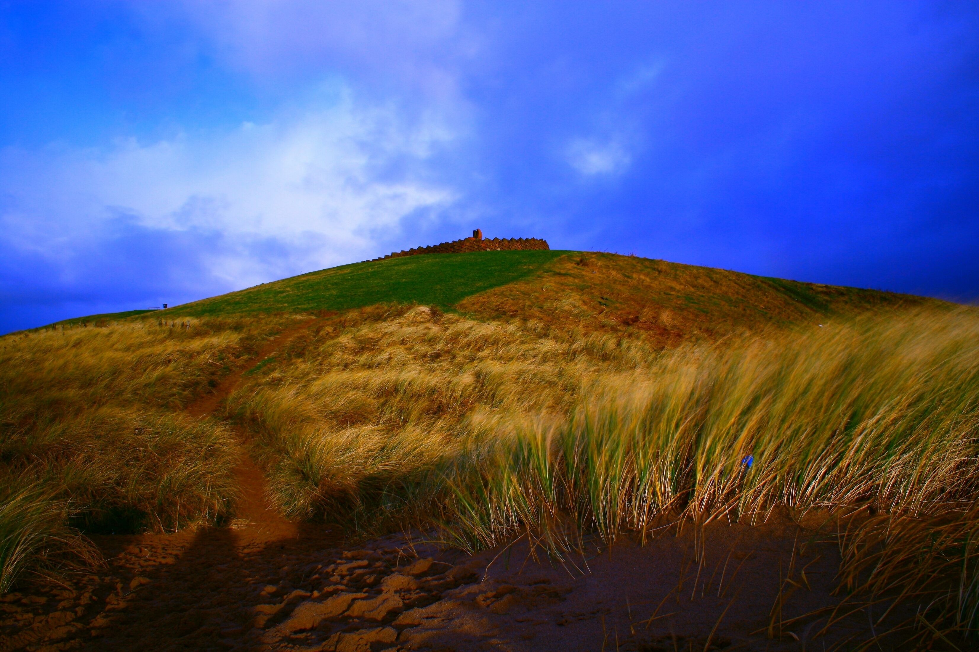 Dragon Monument Path