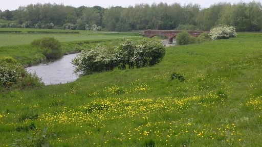 Holmsford Bridge. Holmsford Bridge which spans the river Irvine. This was taken looking West