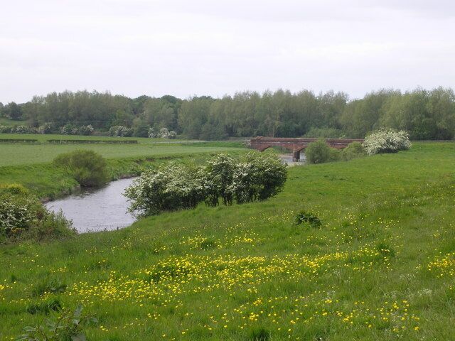 A river, green fields, yellow flowers, and a bridge.
