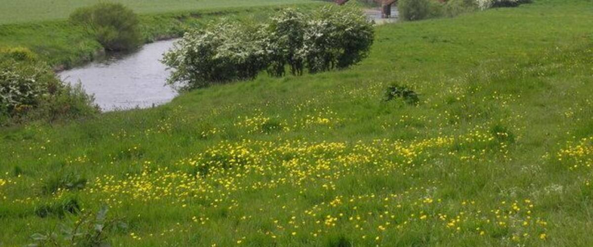 A river, green fields, yellow flowers, and a bridge.