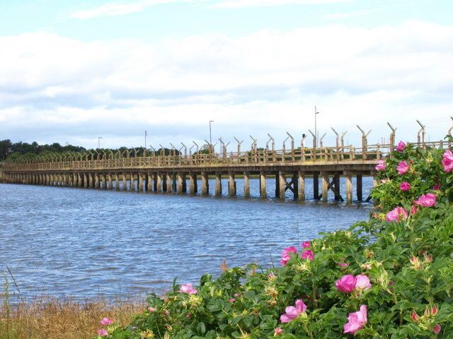 A pier extending into a body of water, with pink flowers in the foreground.