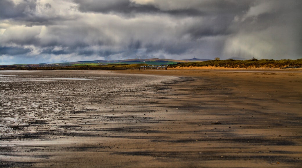 Looking To Irvine Harbour