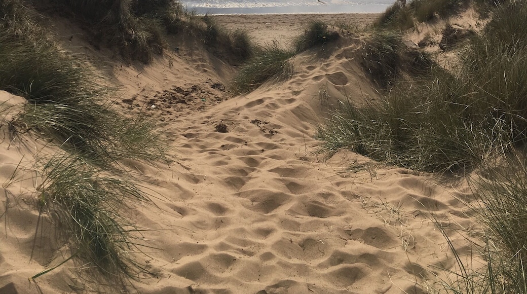 Beautiful sandy beach stretching for miles. Perfect for long dog walks