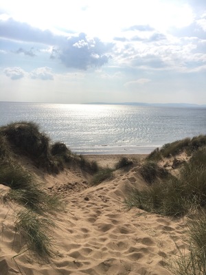 Beautiful sandy beach stretching for miles. Perfect for long dog walks