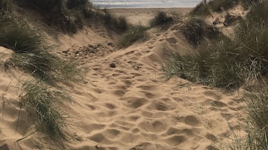 Beautiful sandy beach stretching for miles. Perfect for long dog walks