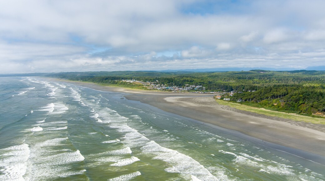 Aerial view of the beach at Seabrook, Washington in June