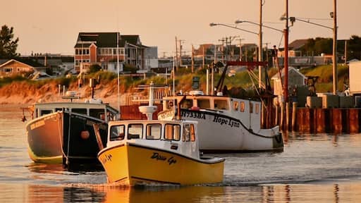 Fishing boats in the bay