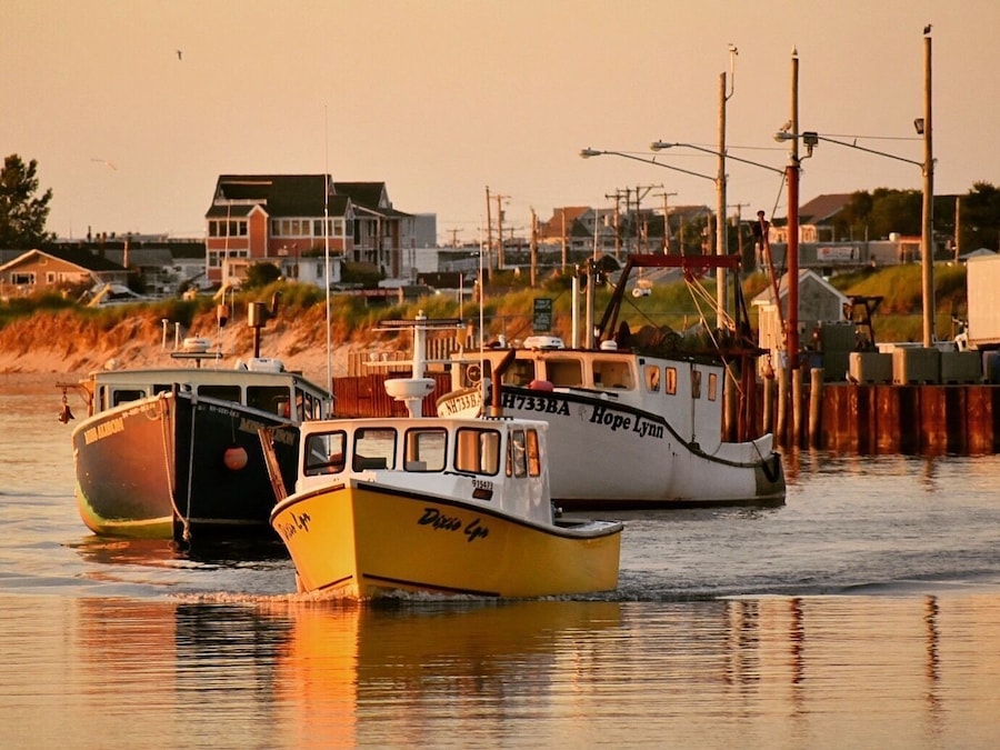 Fishing boats in the bay