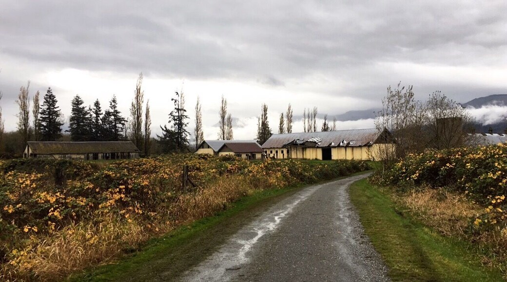 A nice park and plenty of creepy old mental hospital buildings. Haven't found the main hospital building yet. Perfect October adventure!