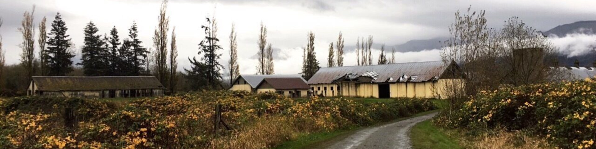 A nice park and plenty of creepy old mental hospital buildings. Haven't found the main hospital building yet. Perfect October adventure!