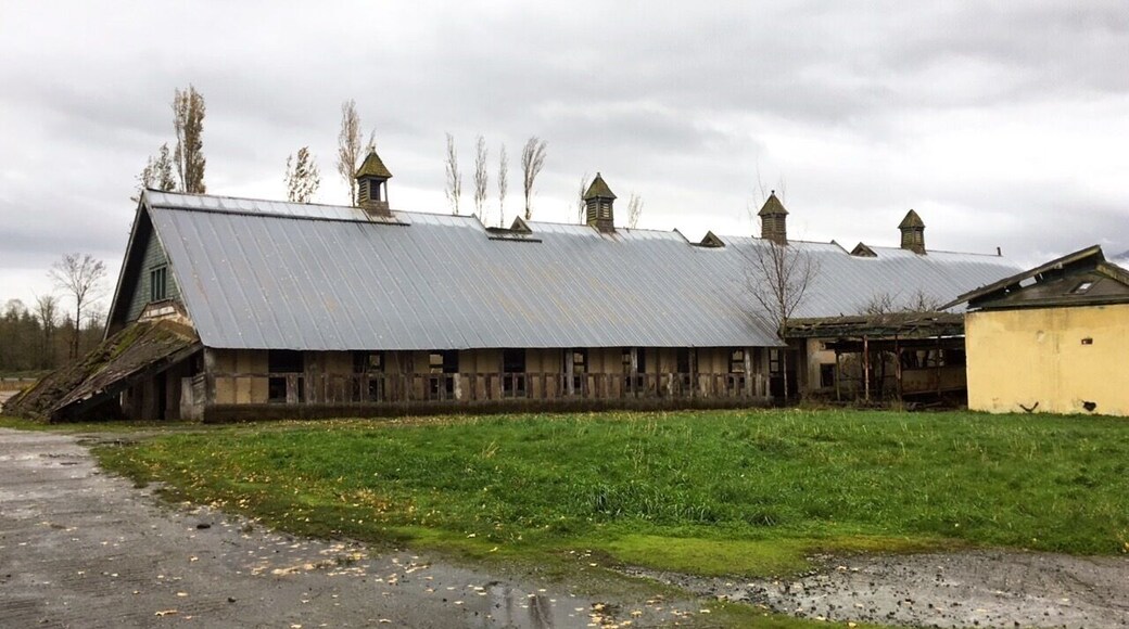 A nice park and plenty of creepy old mental hospital buildings. Haven't found the main hospital building yet. Perfect October adventure!