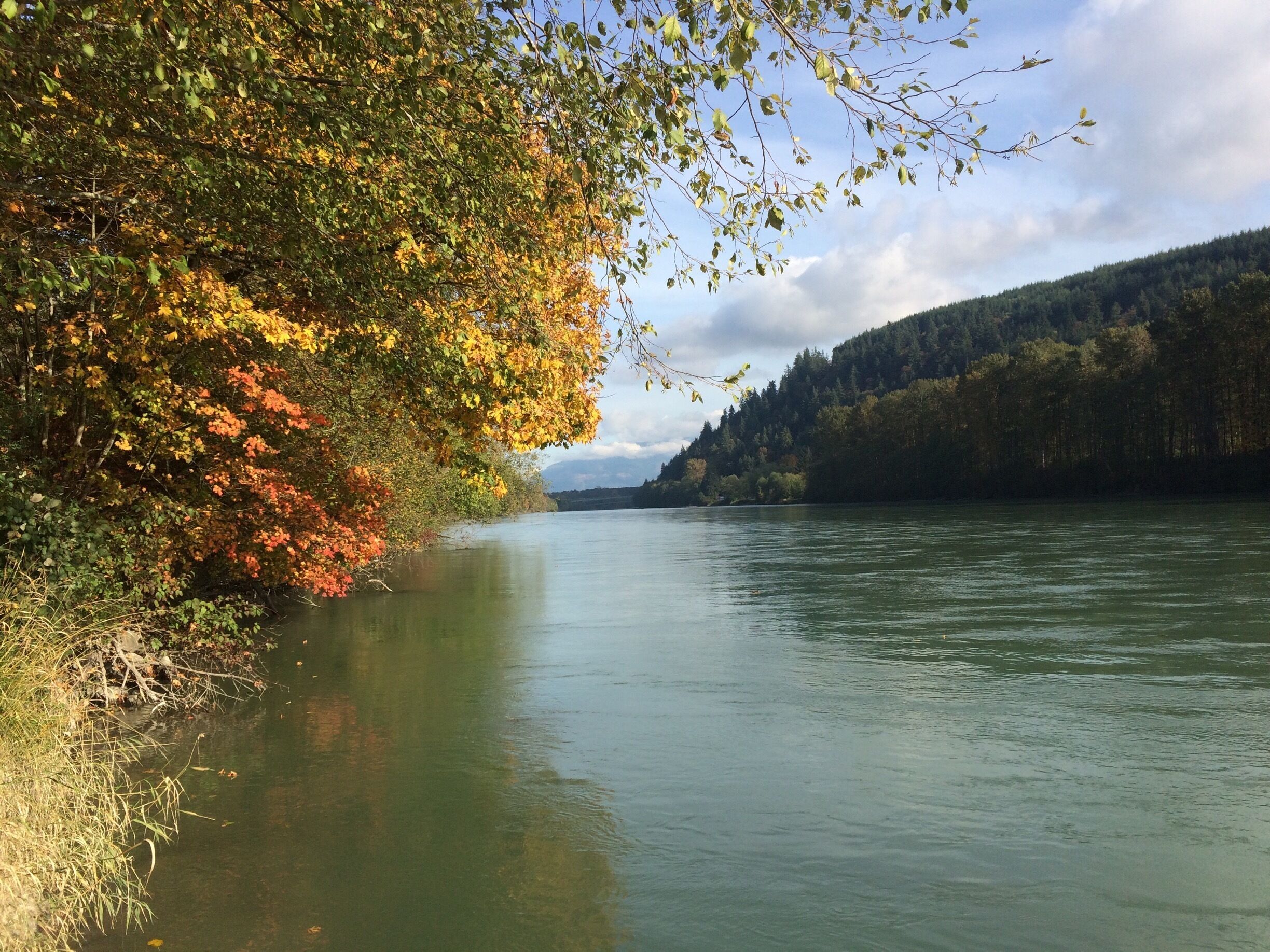 Nice view up the river just outside of Sedro Wooley, WA