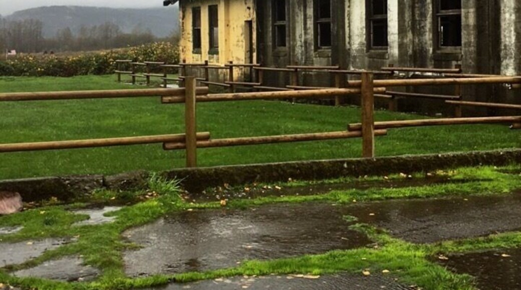 A nice park and plenty of creepy old mental hospital buildings. Haven't found the main hospital building yet. Perfect October adventure!