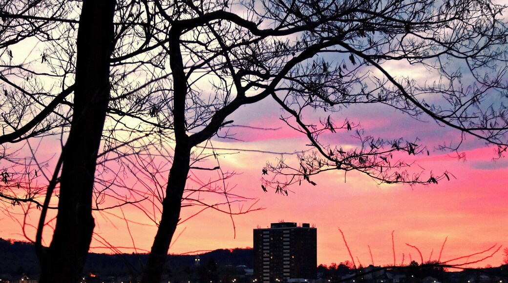 A beautiful sunrise on the Susquehanna River at the Northumberland Boat Club on March 20th, 2018
www.tonybendelephotography.com
#Outdoors #Nature #Landscape #Sunrise #Sky #Clouds #Colors #Colorful #River #Water #SusquehannaRiver #Travel #Adventure #Trees