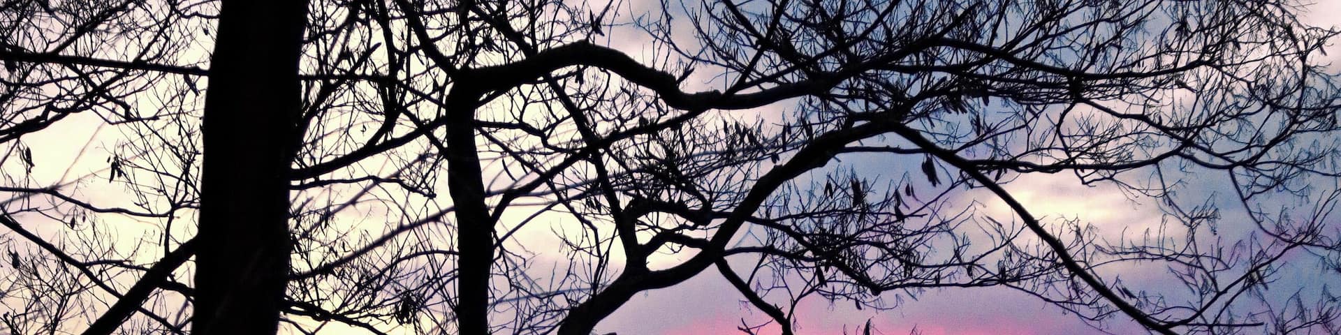 A beautiful sunrise on the Susquehanna River at the Northumberland Boat Club on March 20th, 2018
www.tonybendelephotography.com
#Outdoors #Nature #Landscape #Sunrise #Sky #Clouds #Colors #Colorful #River #Water #SusquehannaRiver #Travel #Adventure #Trees