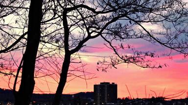 A beautiful sunrise on the Susquehanna River at the Northumberland Boat Club on March 20th, 2018
www.tonybendelephotography.com
#Outdoors #Nature #Landscape #Sunrise #Sky #Clouds #Colors #Colorful #River #Water #SusquehannaRiver #Travel #Adventure #Trees
