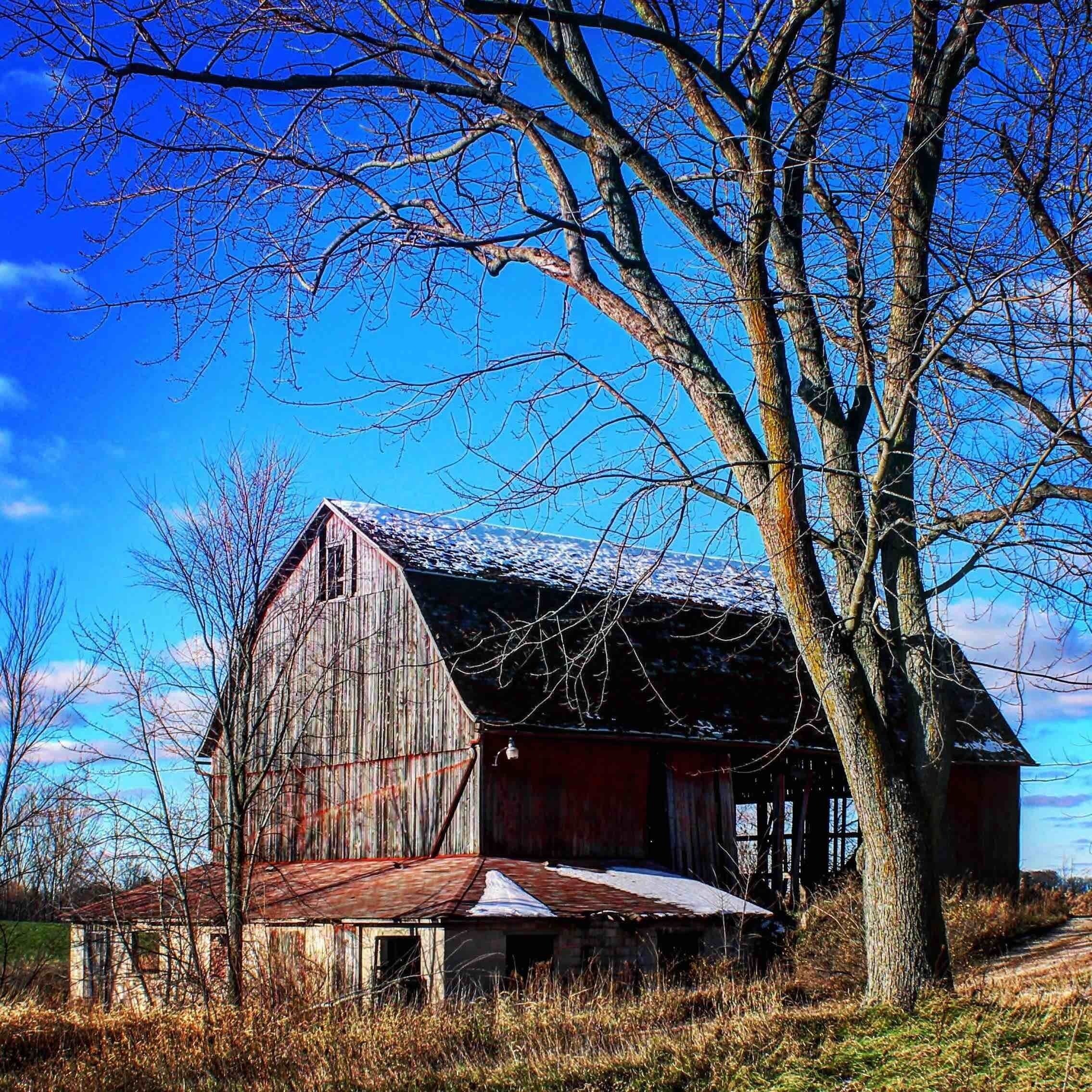 Abandoned Barn