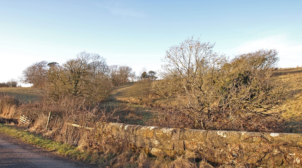 Megswells Bridge Minor road crossing the Hall Burn.