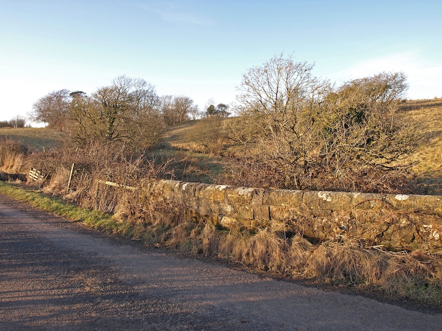 Megswells Bridge Minor road crossing the Hall Burn.