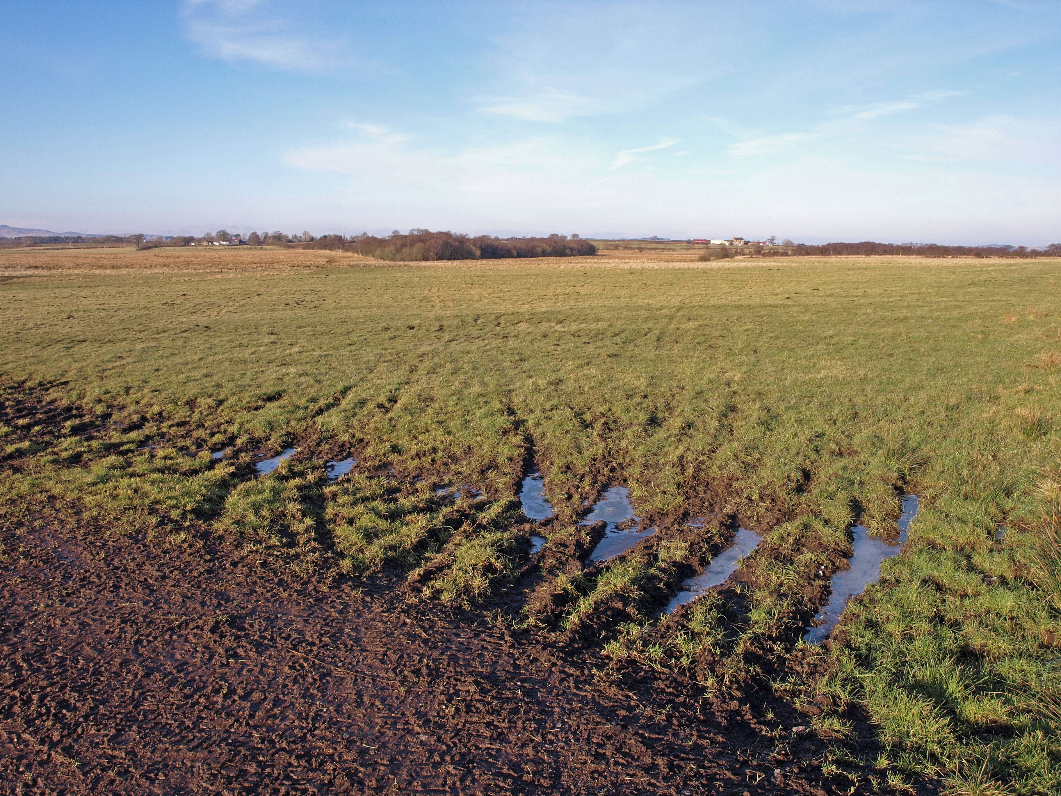 Water Logged Field Entrance Looking over Dykeneuk Moss.