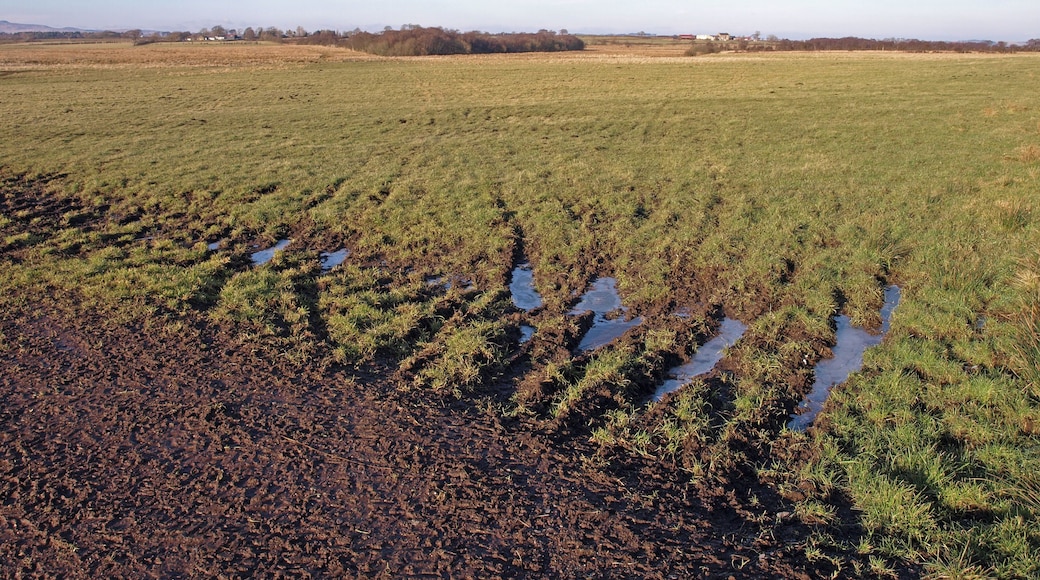 Water Logged Field Entrance Looking over Dykeneuk Moss.