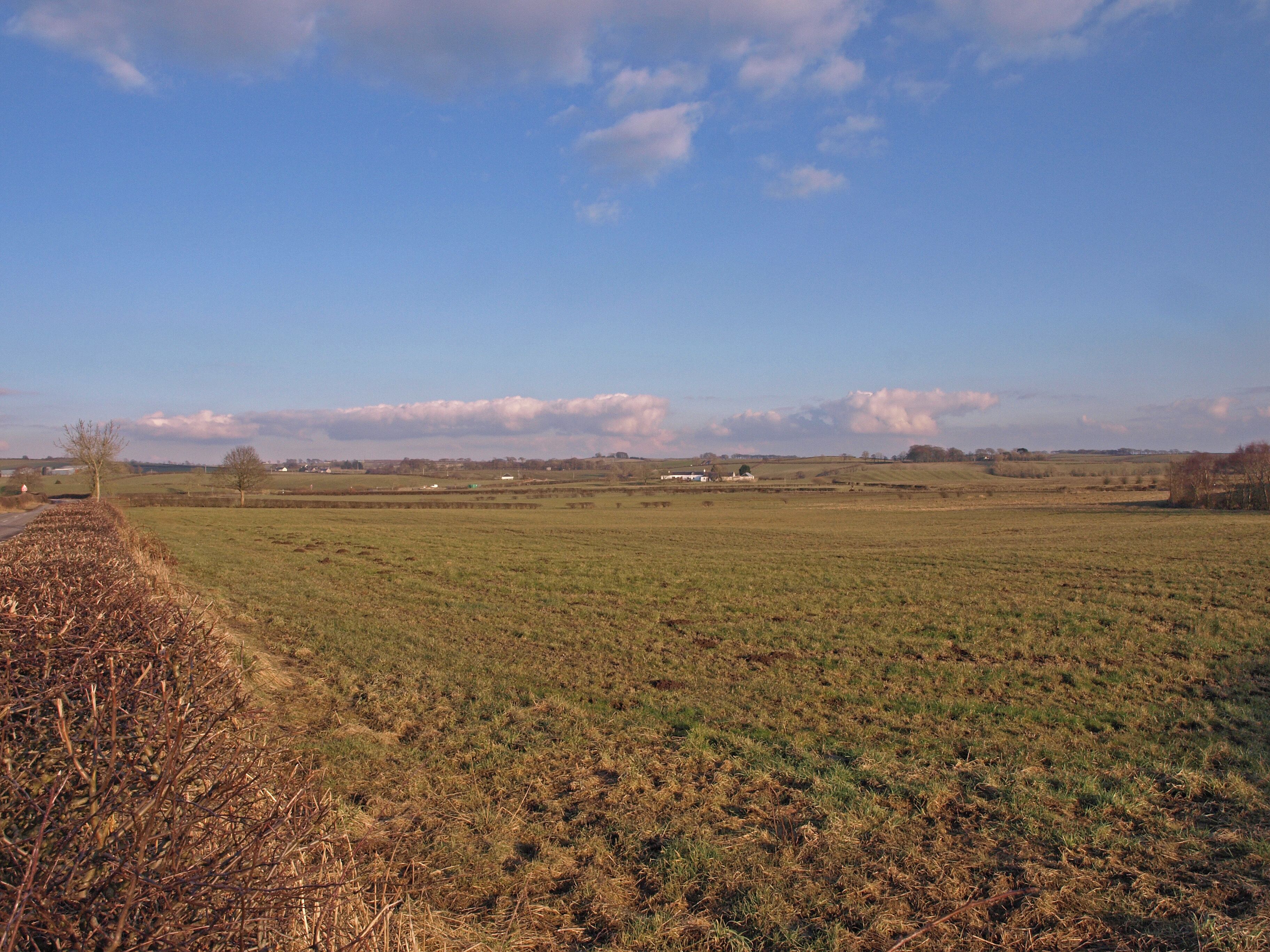 Farmland near Ward Farm Looking towards Bloakhomes from the B778 Stewarton Road.