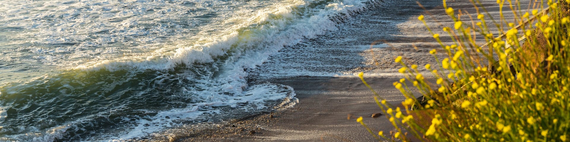 Shell Beach cliffs and Pacific Ocean at sunset. Pismo Beach area, California Coastline