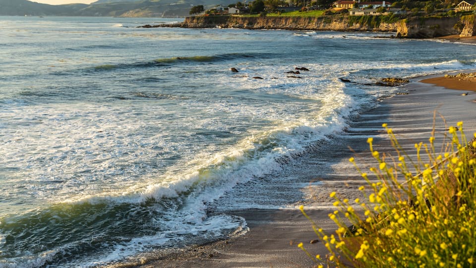 Shell Beach cliffs and Pacific Ocean at sunset. Pismo Beach area, California Coastline