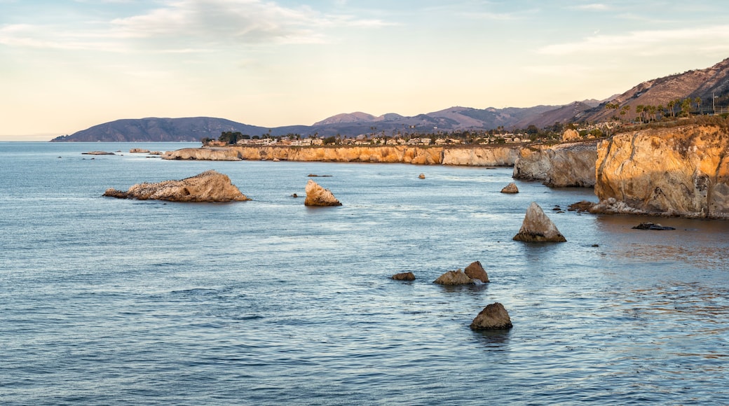 Shell Beach