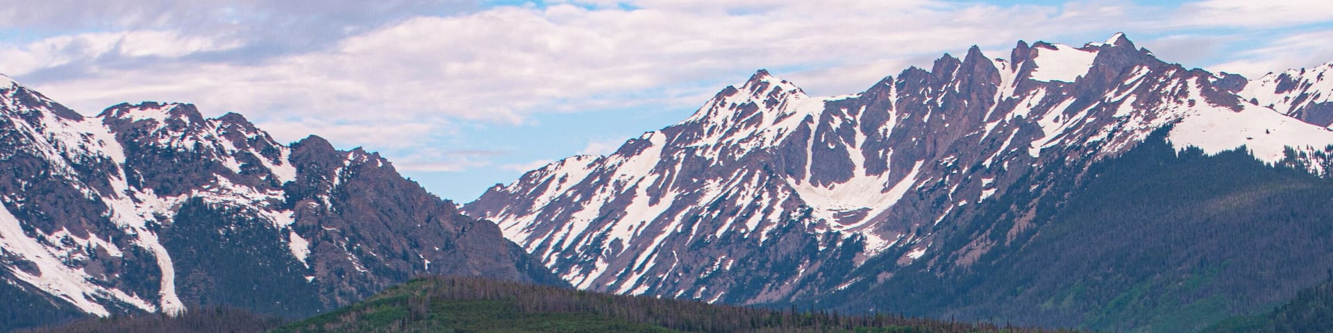 A wooden cabin in a field of purple and yellow flowers, with snow-capped mountains in the background.