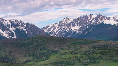 A wooden cabin in a field of purple and yellow flowers, with snow-capped mountains in the background.
