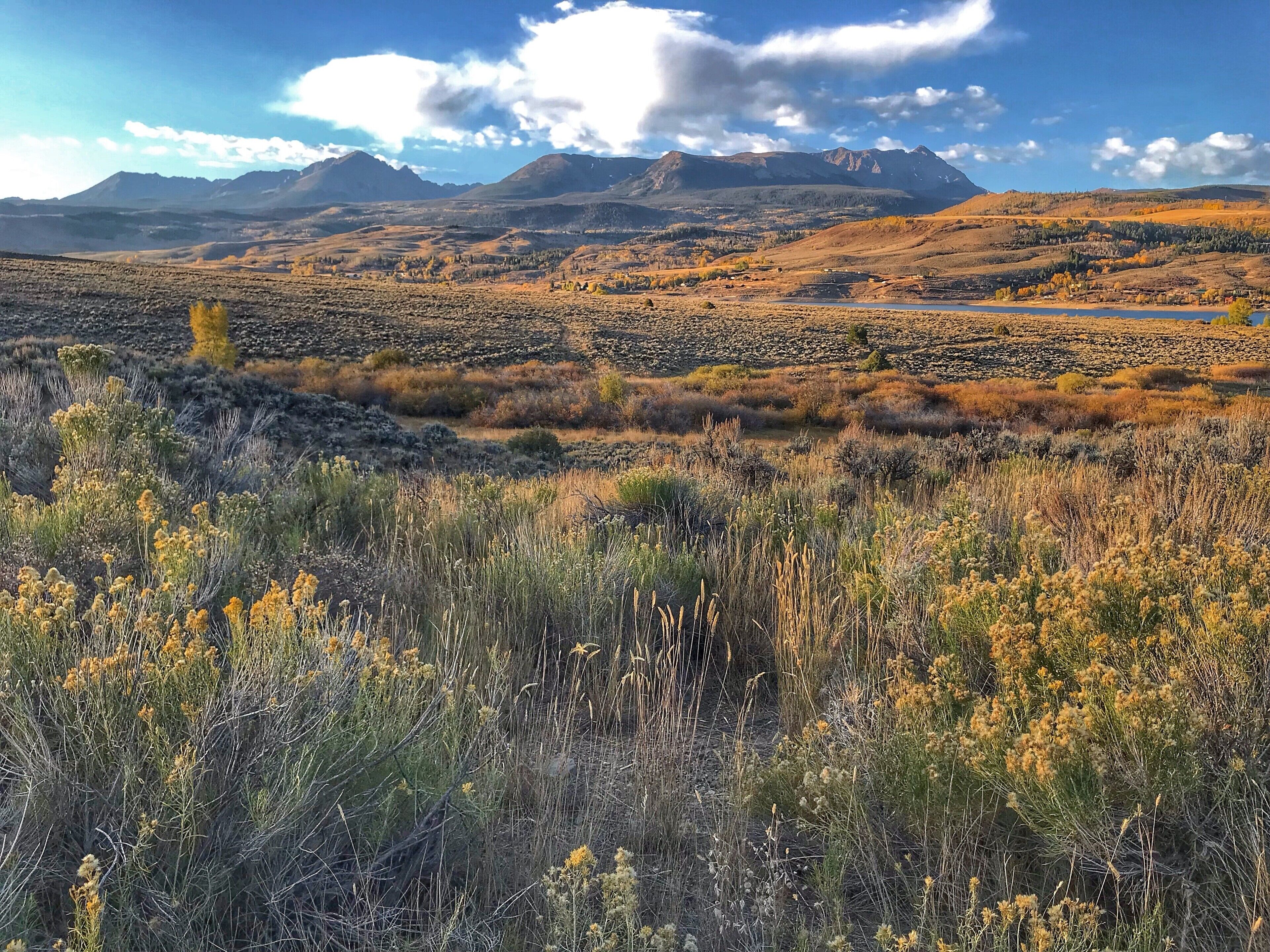 Driving into Hayden I stopped to snap this pic of the big skies!
#Trovember