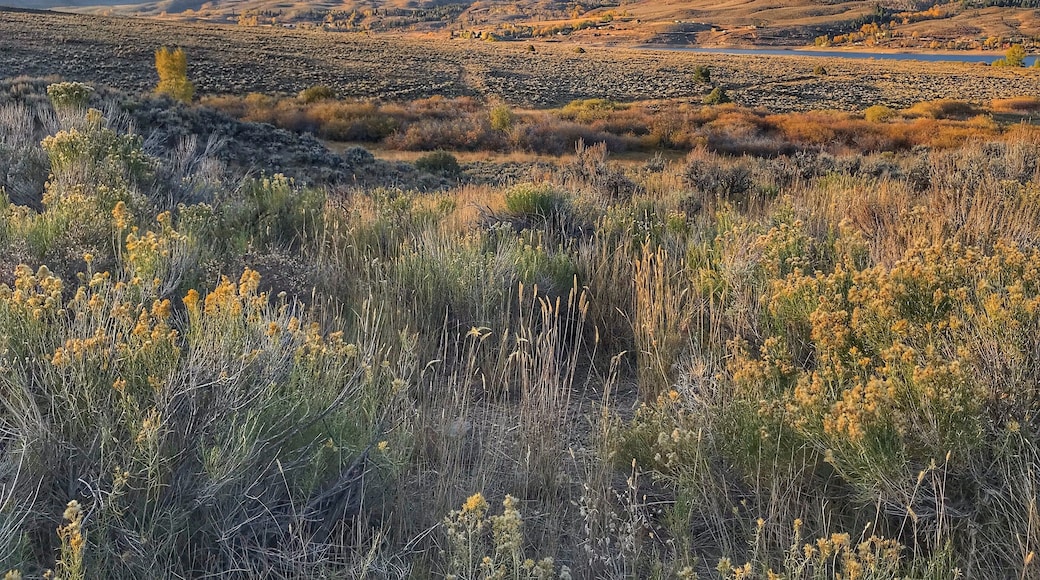 Driving into Hayden I stopped to snap this pic of the big skies!
#Trovember