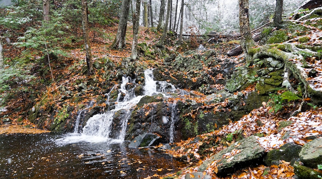 Northgate Falls in Simsbury Connecticut. A beautiful autumn waterfall spills into a stream.