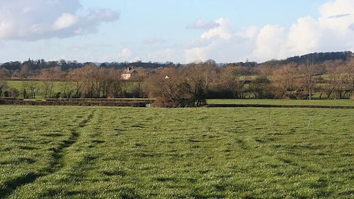 Ashill: towards Capland Looking north west near Collings Barn, Stewley
