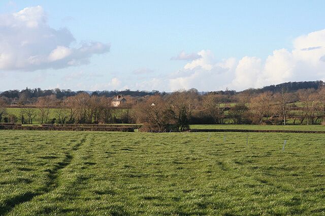 A green field with a distant house and leafless trees.