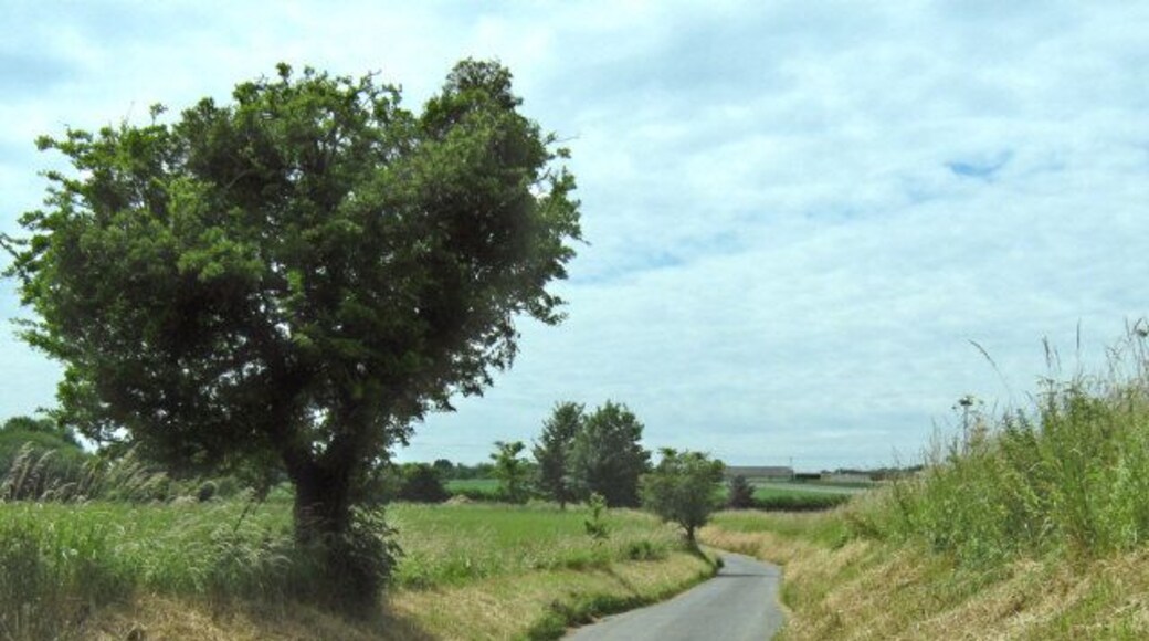 Lane south of Barrington