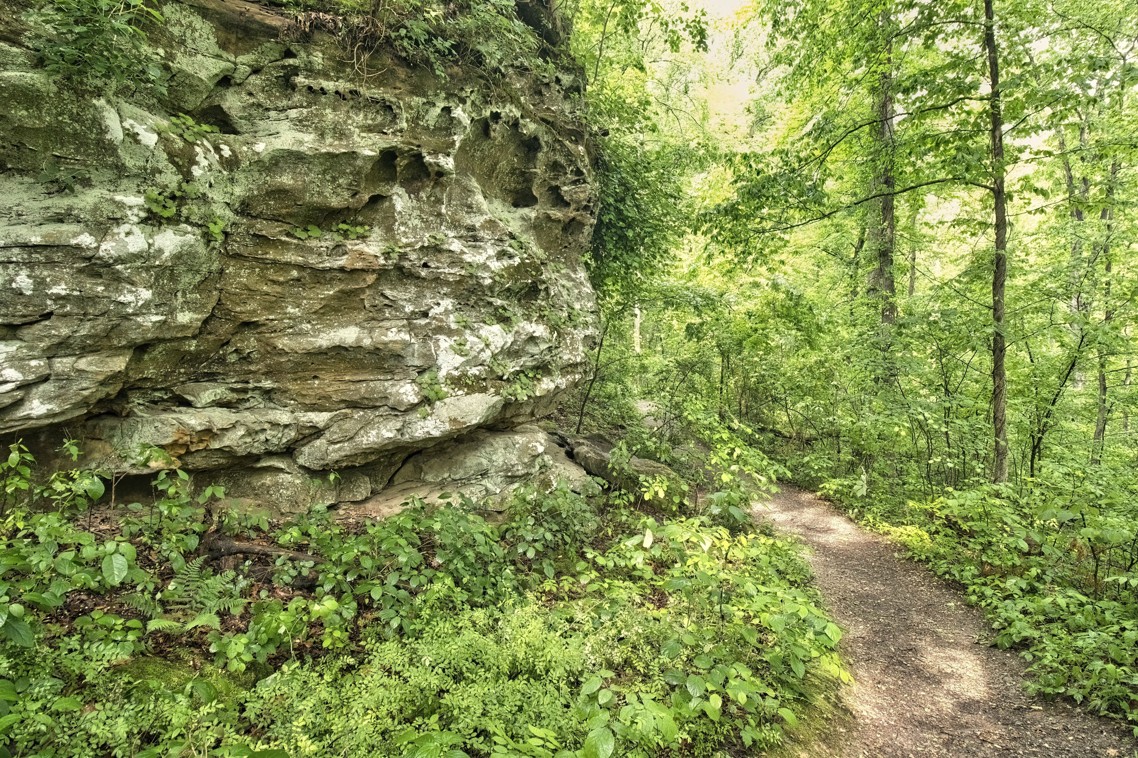 A hiking trail passes by a large rock formation in the forest on a rainy spring morning at Giant City State Park in Southern Illinois.