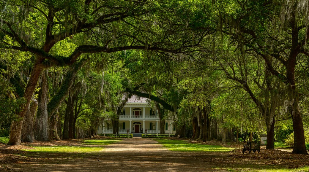 St. Francisville