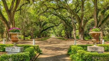 Rosedown Plantation, St Francisville Louisiana