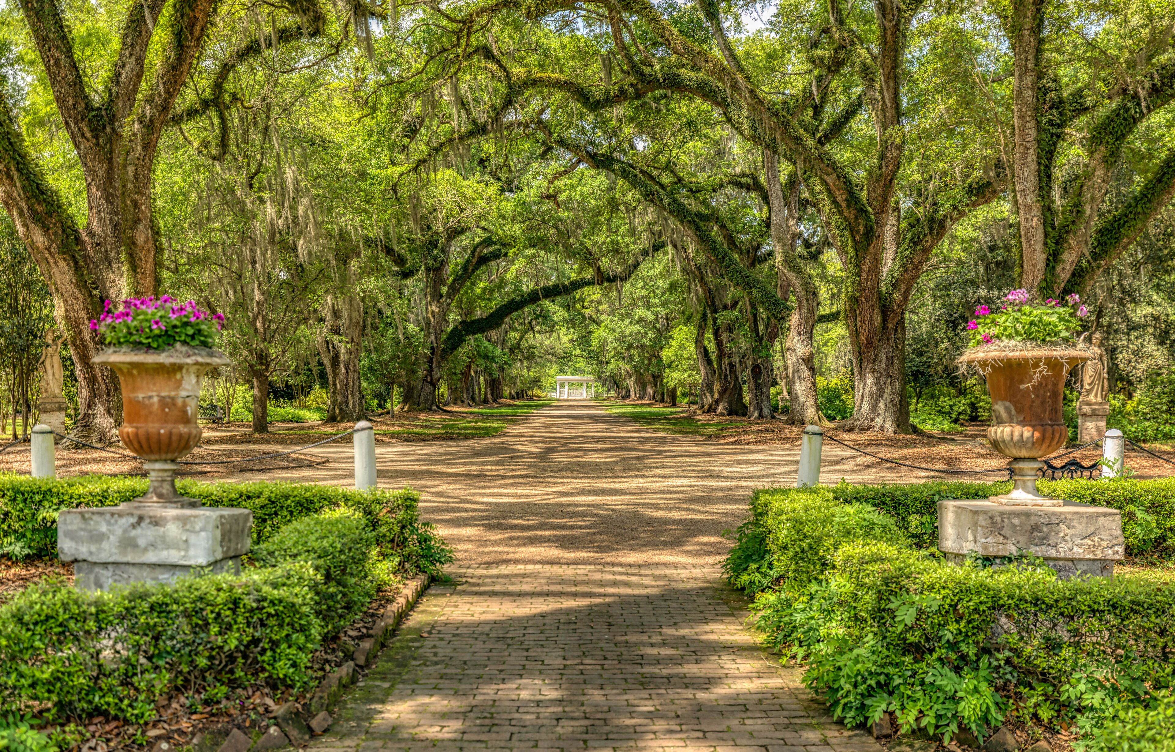 A pathway flanked by trees with moss-covered branches, leading to a distant white building.