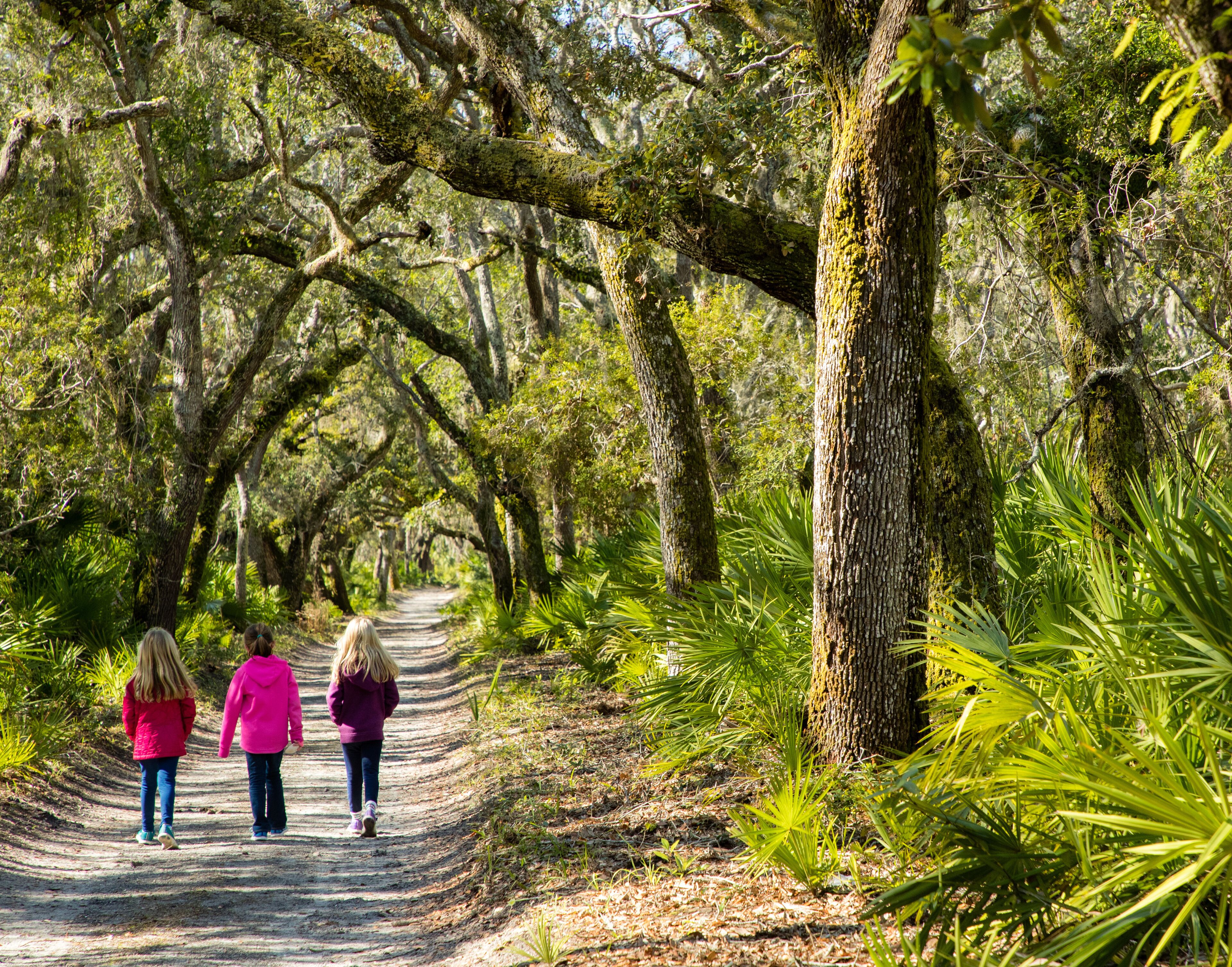 Cumberland Island Stroll